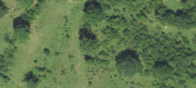 East Texas Ranch Land