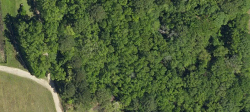 Wadmalaw Island Land Parcel