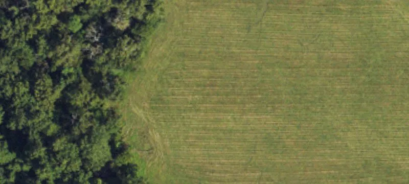 60+ Acre Equestrian Parcel