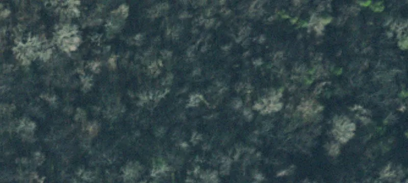 Unrestricted Land in Taft, TN