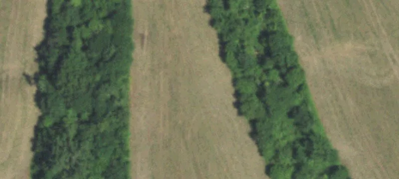 206 Acres CRP Income Property