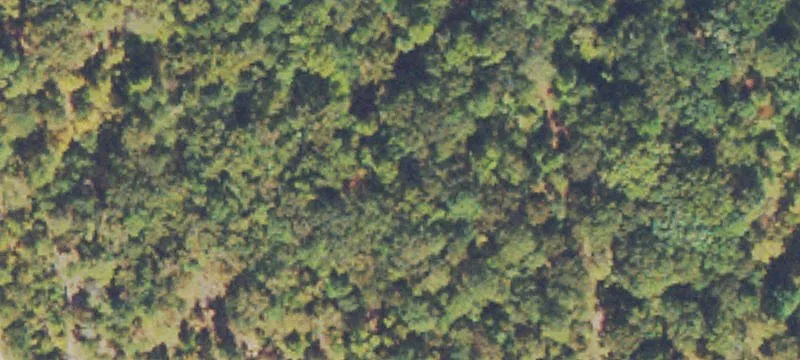 Land with Development Potential