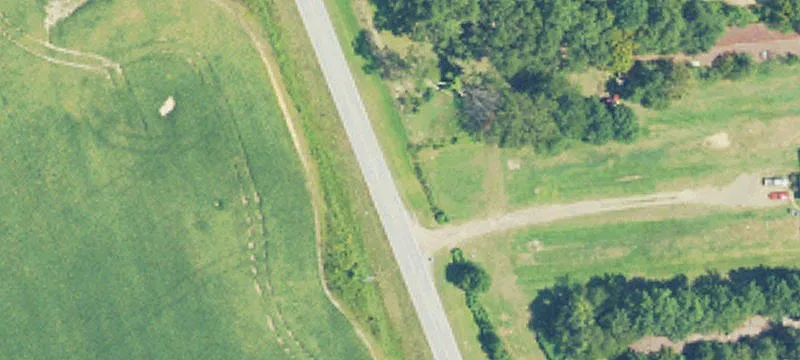 99 Acres Timberland Hunting Property
