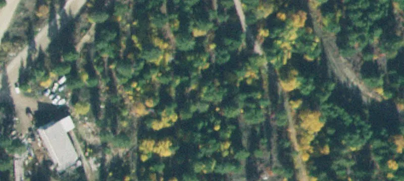 Treed Acreage with Cabin