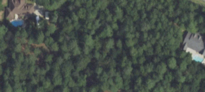 Wooded Lot in Indigo Ranch
