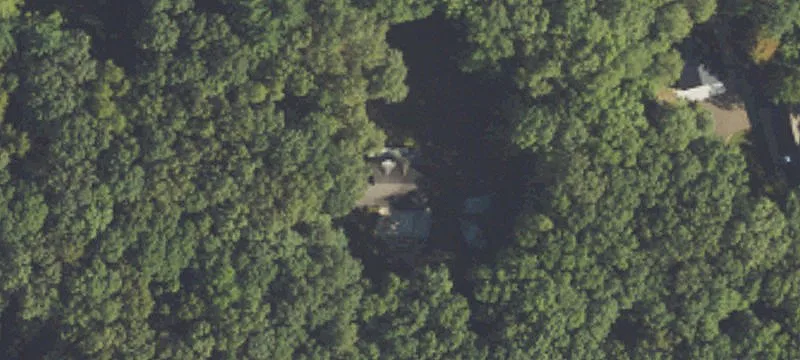 Two Homes on Wooded Acres