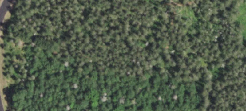 7.57 Acres Near Crystal Lake