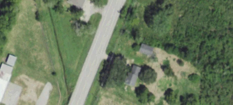 Cleared Land in Growing Area