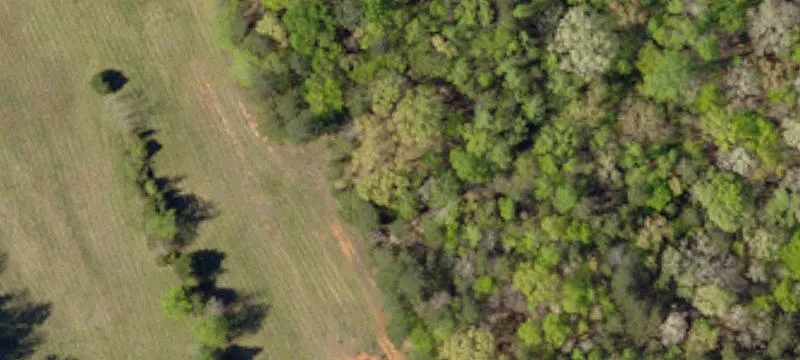 Unrestricted Acreage with Scenic Creek