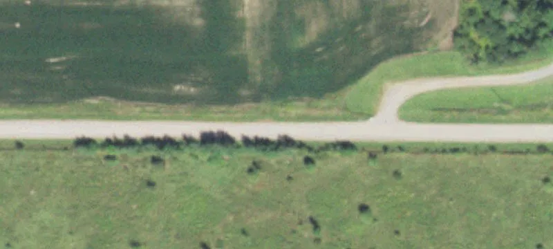 12 Acre Agricultural Land Parcel