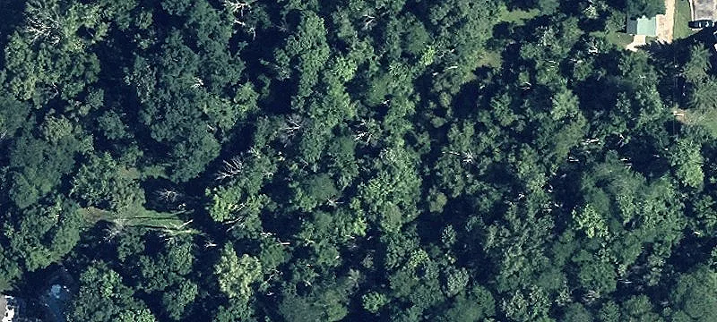3.96 Acre Residential Estate