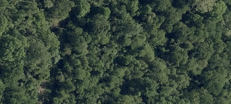 Prime Commercial Land Opportunity