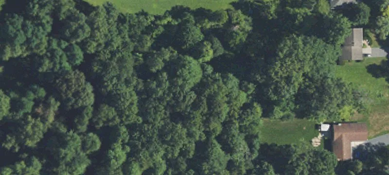 Wooded Lot in Livonia
