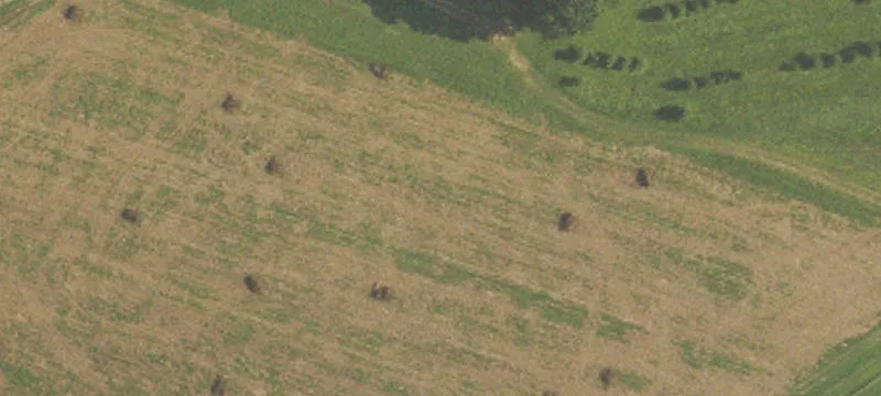 Chester County Land with Rental