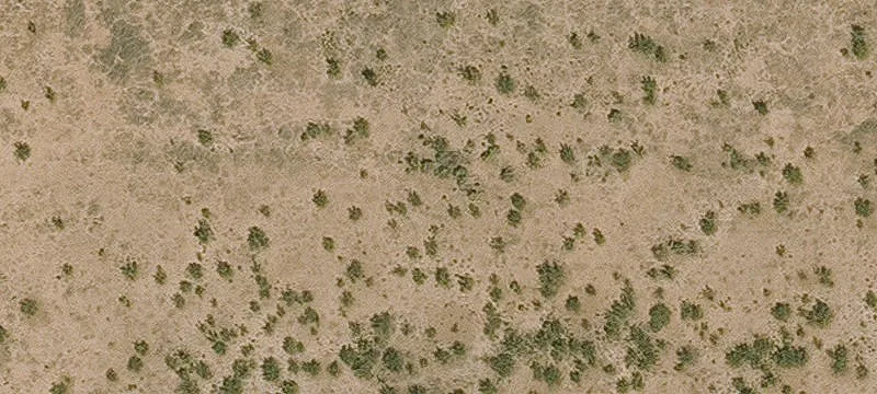 81 Acres in McNeal, Arizona