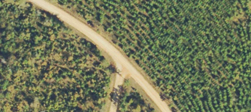 210 Acres of Recreation Land