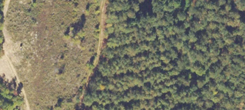 Vineyard at Yukon Land