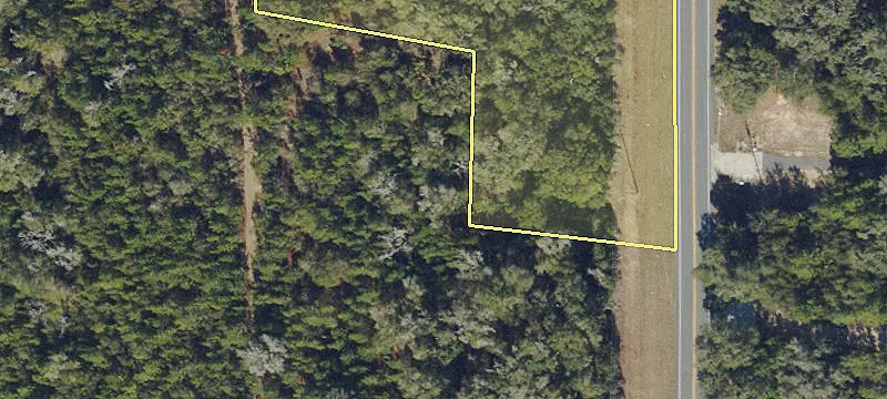 Hernando Land Near Highway