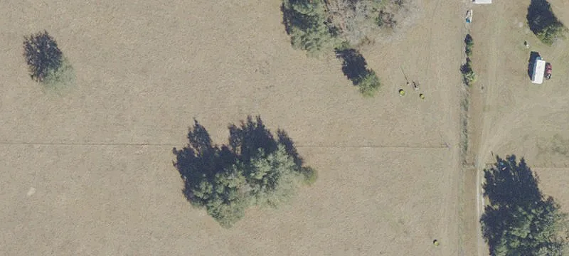 Equestrian Land Near World Center