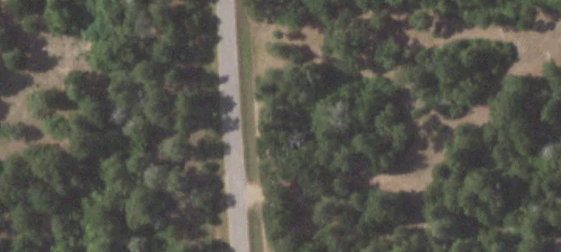 81+ Acre Improved Land Opportunity