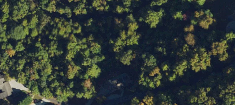 Land with Lake and Mountain Views