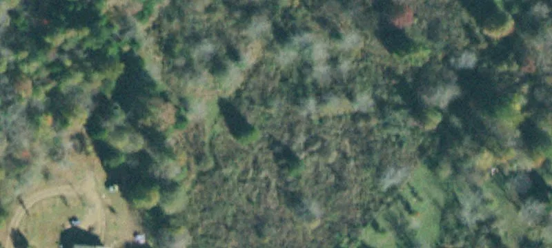 62.9 Acres of Opportunity
