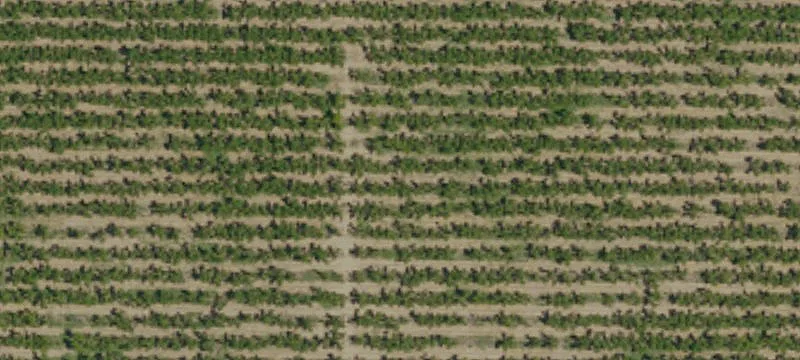 Turlock Agricultural Land with Residence