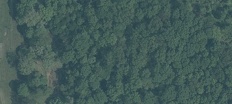 41 Acres of Natural Beauty