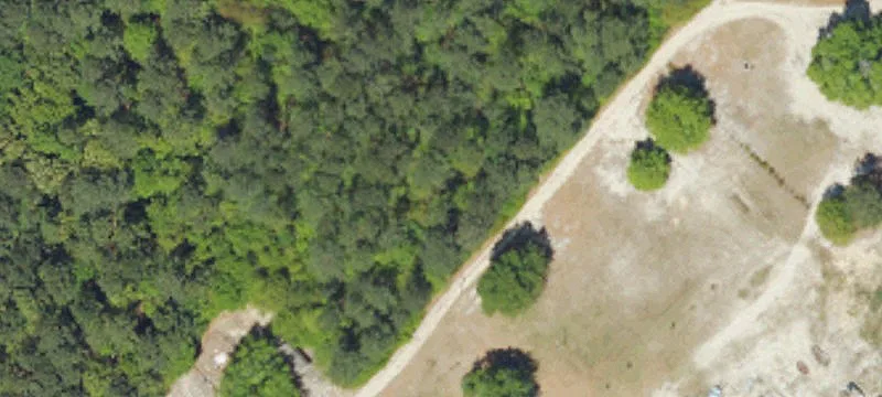 Wagener 15-Acre Rural Parcel