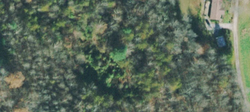 69 Acres of Versatile Land