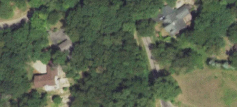 Wooded Double Lot in Dixon