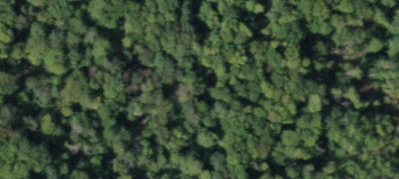 Secluded Land Parcel with Stream