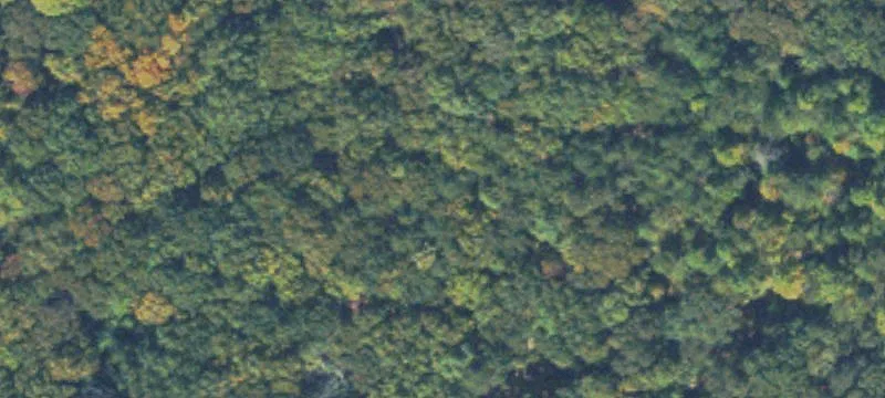 Gainesville Wooded Acreage For Sale