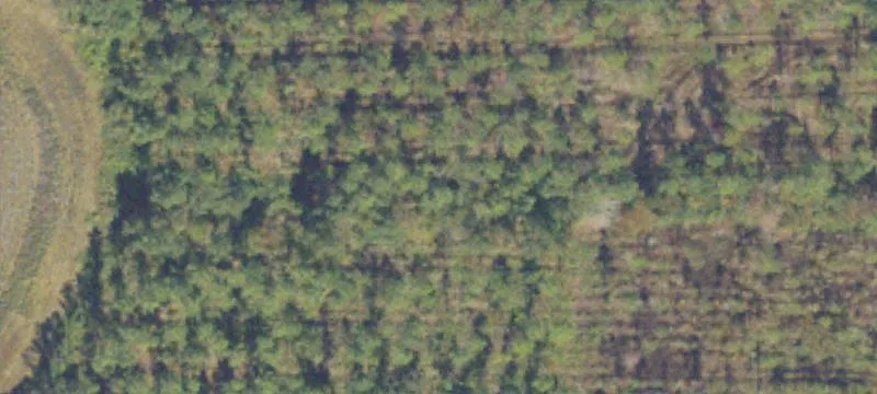 Land Available in Bacon County