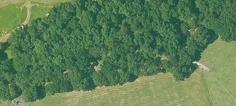Secluded Recreational Land with Cabin