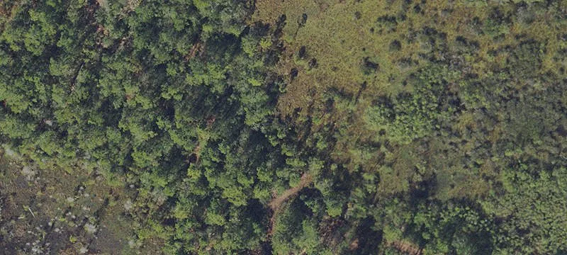 18 Acres on Highway 33