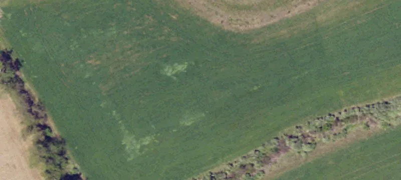 Expansive Homesite in Quiet Cul-de-Sac