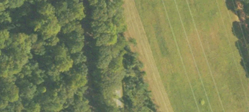 Land For Rent