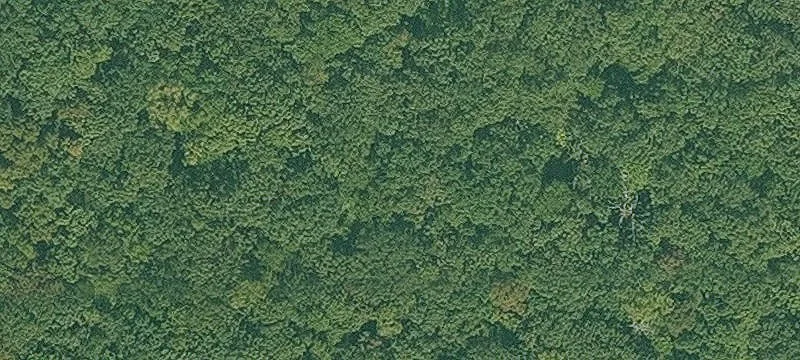 Arkansas Land with Private Pond