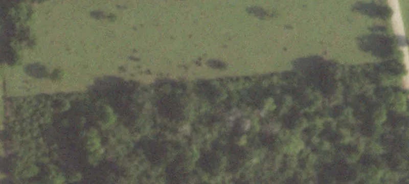 41.36 Acres in Waller Corridor