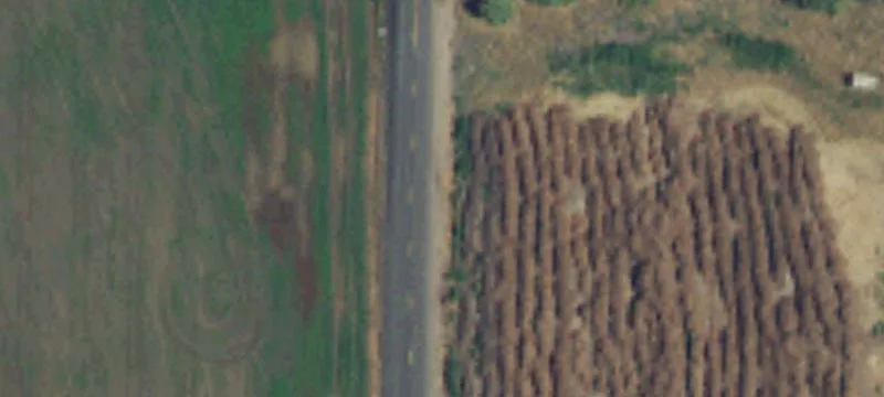 Versatile Irrigated Land in Wapato