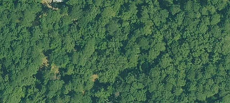 Homesite & Development Opportunity