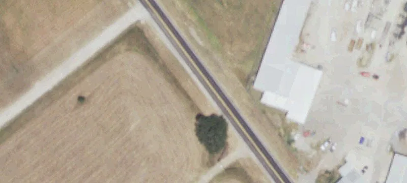Cleared Acreage in Coastal Meadows