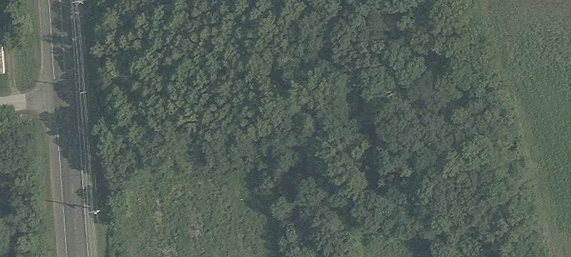 Wooded Land on Route 206