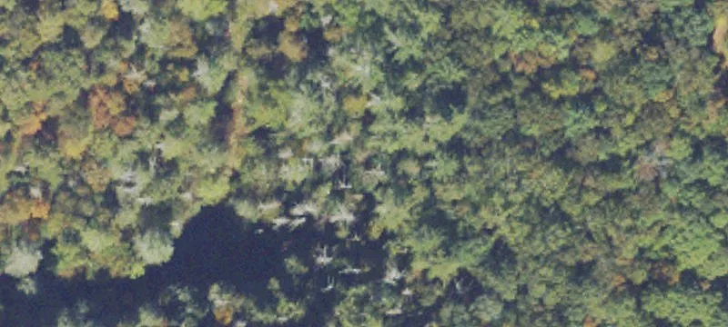 Talking Rock 5-Acre Retreat