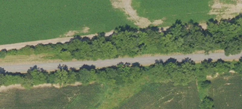 Calloway County Farmland Opportunity