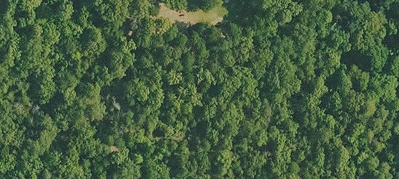 Wooded Land Near Norfork Lake