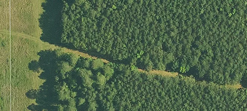 Claiborne Parish Timber Hunting Tract