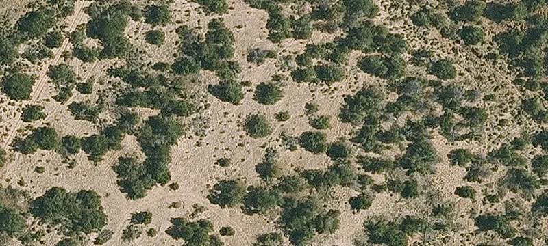9.374 Acres in Sanders, Arizona