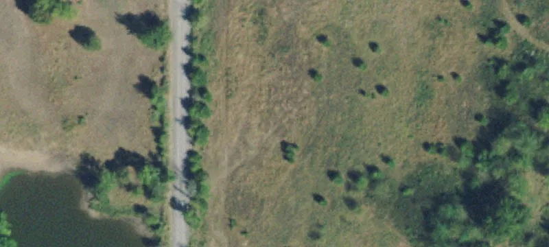 Wooded Land Ready to Build
